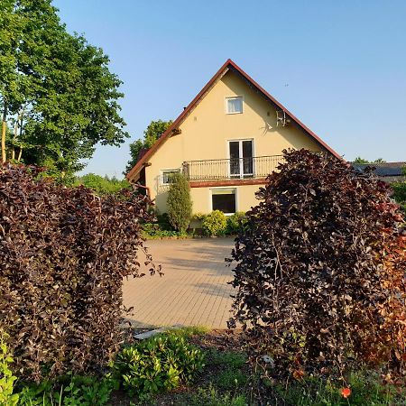 Gospodarstwo Agroturystyczne Damroka تشيمبارك المظهر الخارجي الصورة